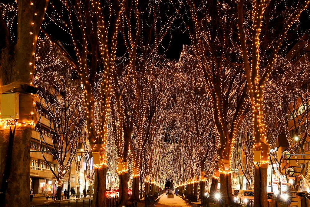 仙台　光のページェントきらめくケヤキ並木